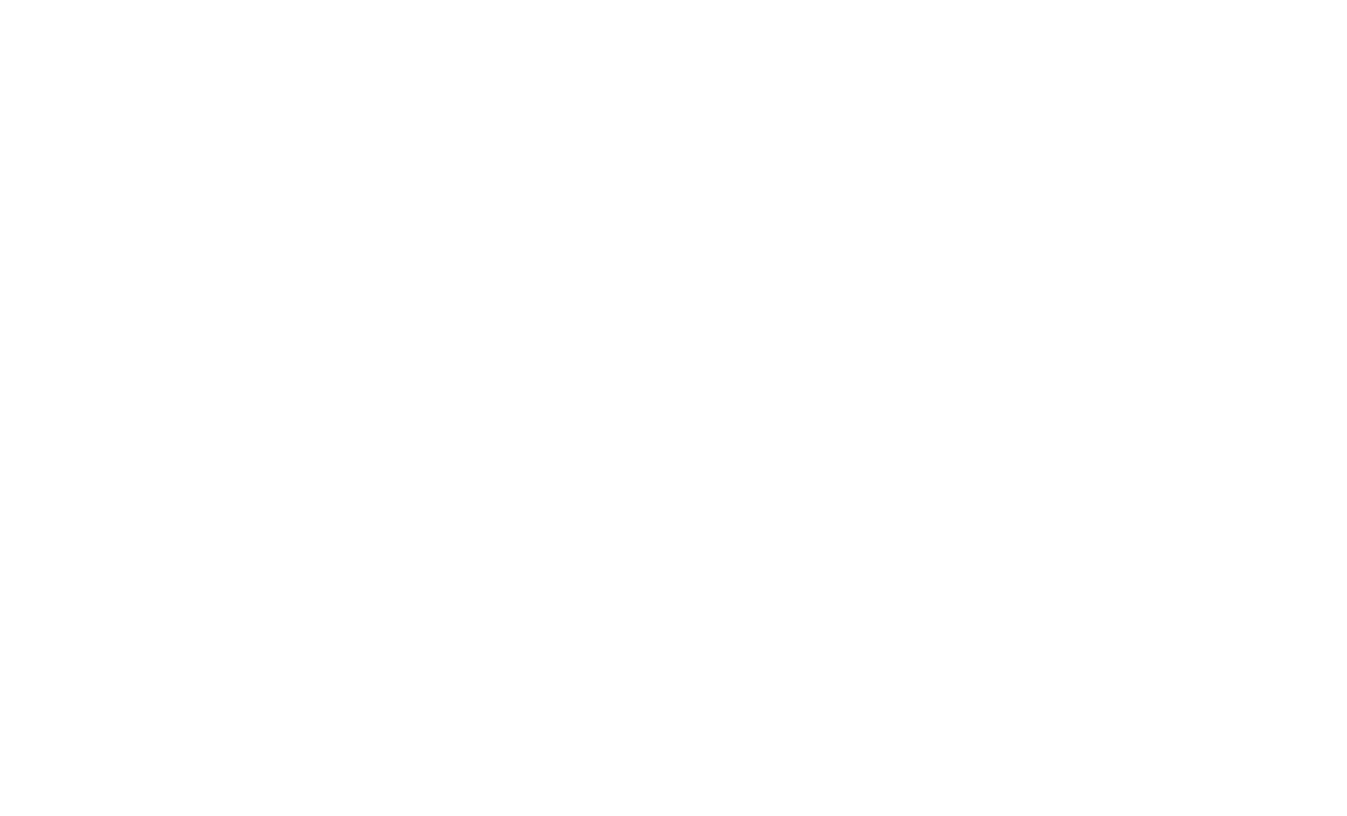 Antoine Pizza